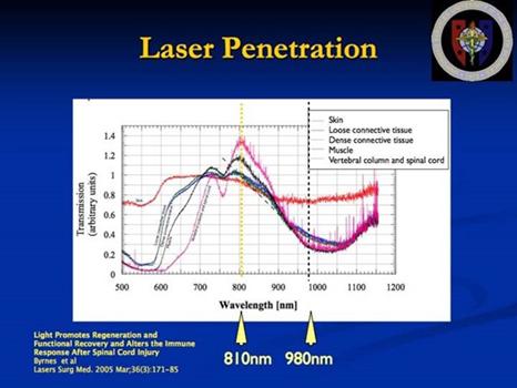 penetration of laser light through tissue